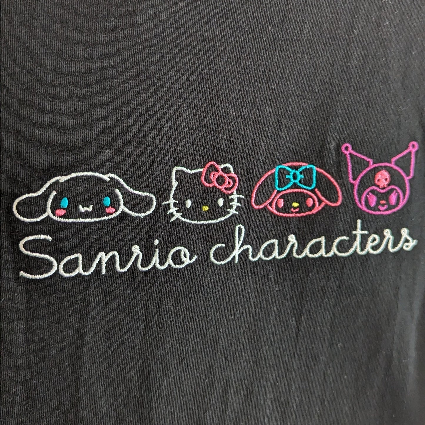 Embroidered Sanrio Characters T-Shirt