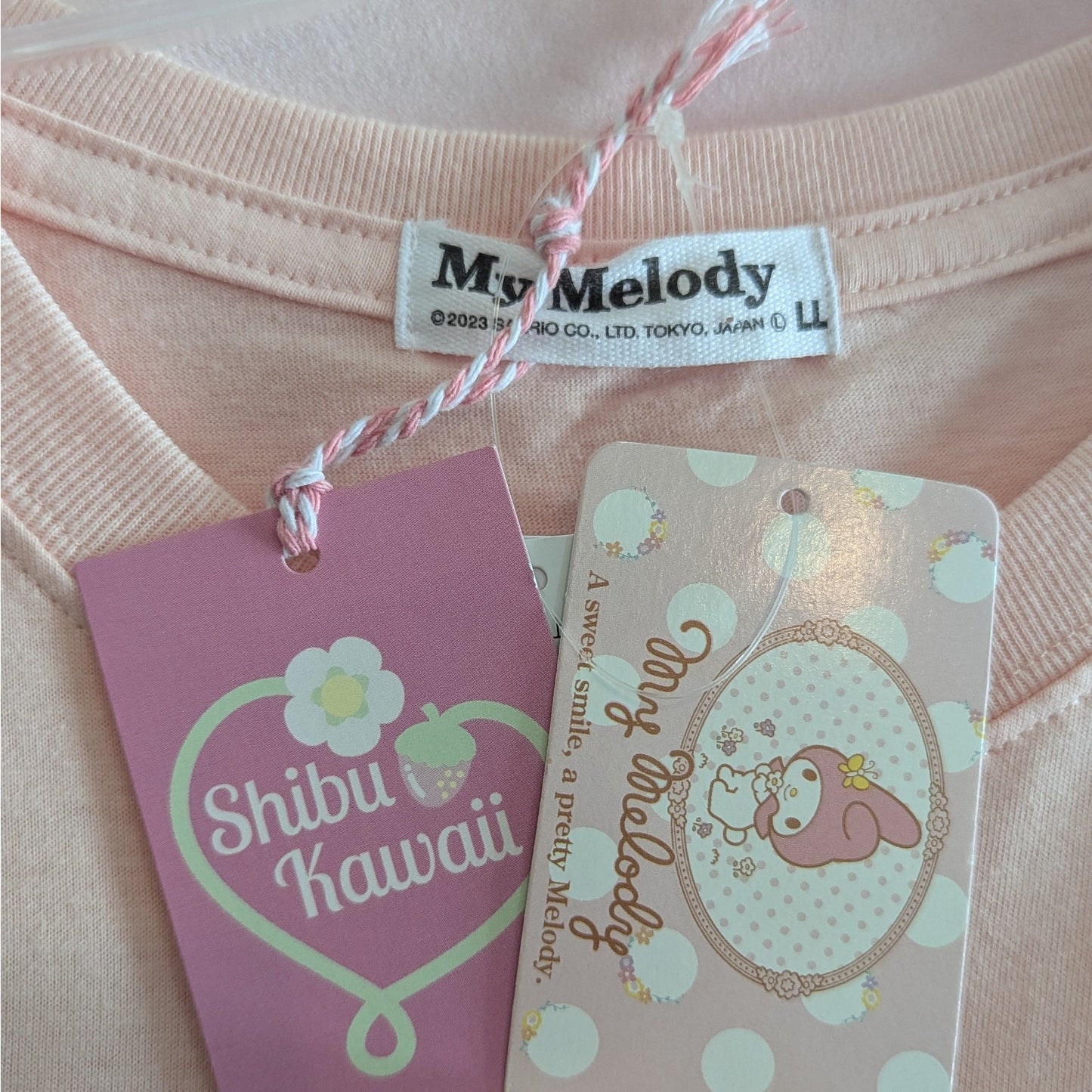 Embroidered Sanrio My Melody T-Shirt