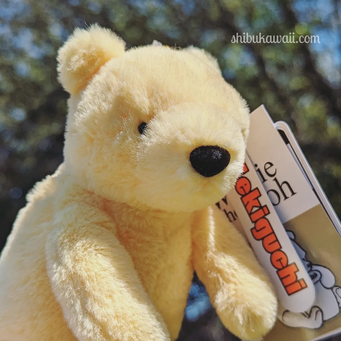 Classic Winnie the Pooh Plush Keychain