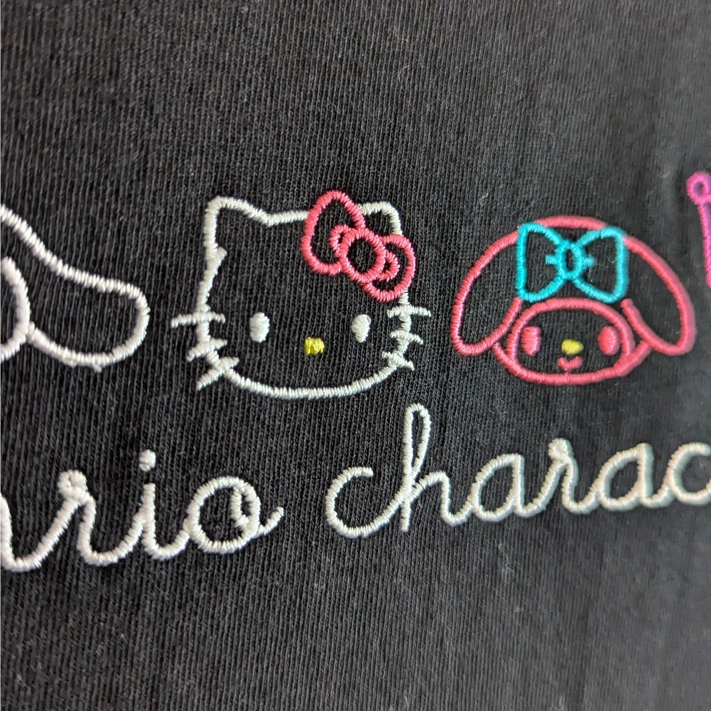 Embroidered Sanrio Characters T-Shirt